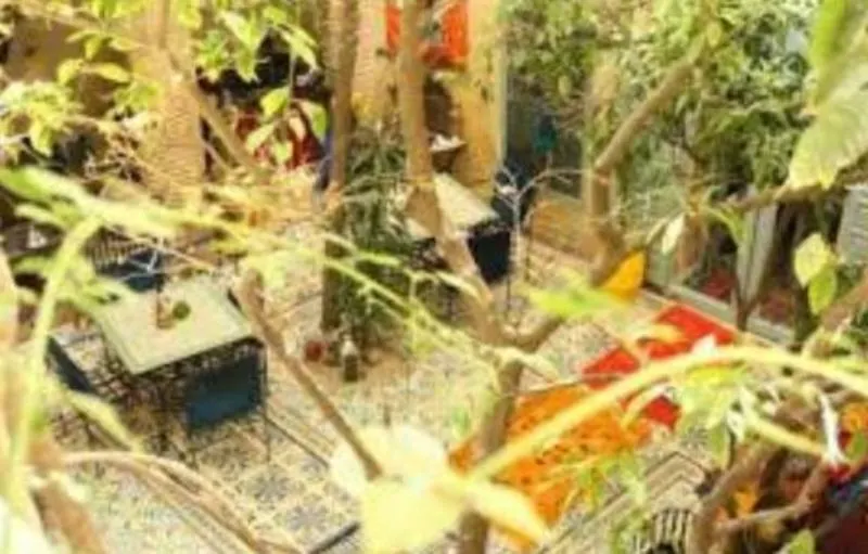 *** Hotel Riad Les Jardins De Kesali Marrakesh Morocco